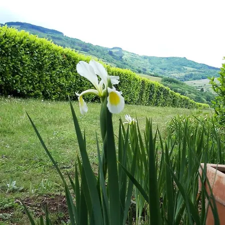Ce Petit Chemin
