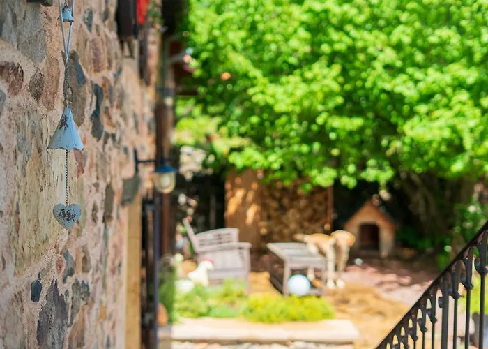 Bed and breakfast Ce Petit Chemin